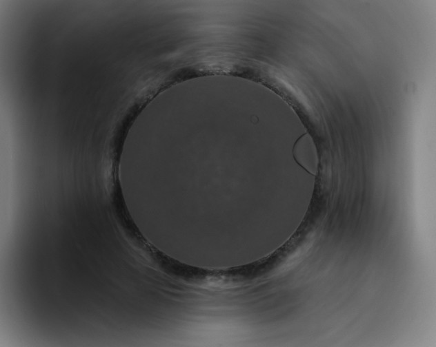 X0000094380641200711162131