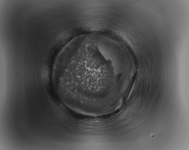 X0000094380643200711162131