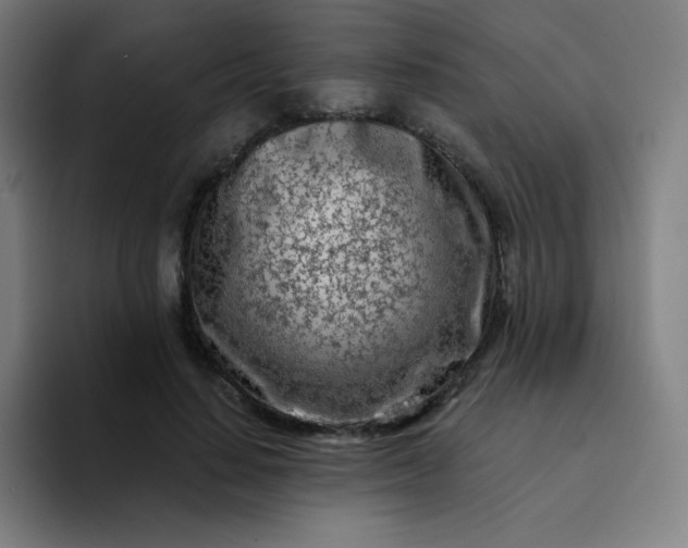 X0000094380644200711162131