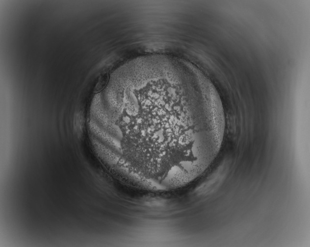X0000094380648200711162131