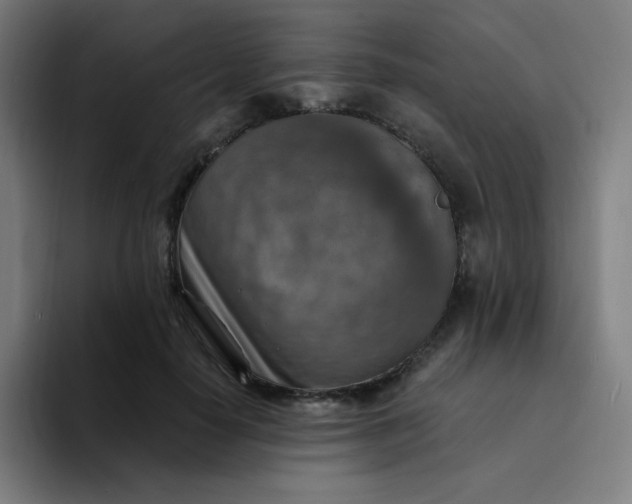 X0000094380650200711162131