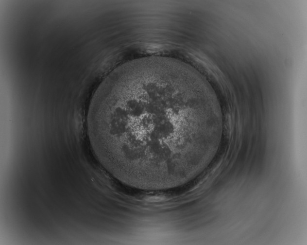 X0000094380653200711162131