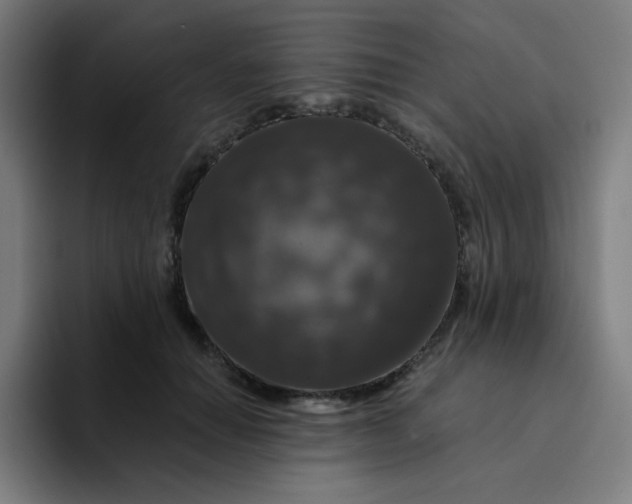 X0000094380654200711162131