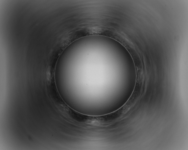 X0000094380655200711162132