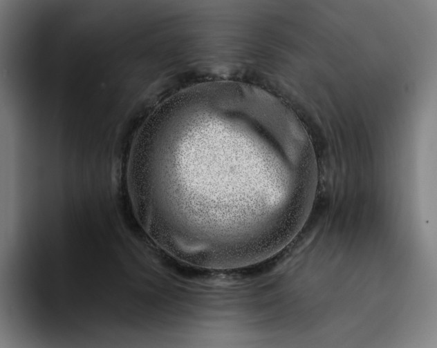 X0000094380656200711162132