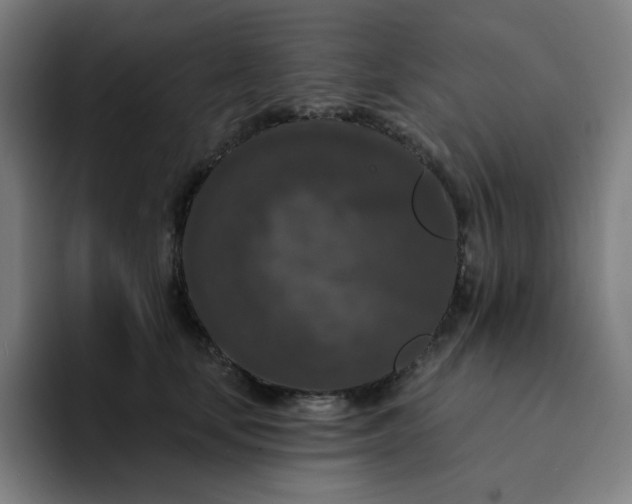 X0000094380659200711162132