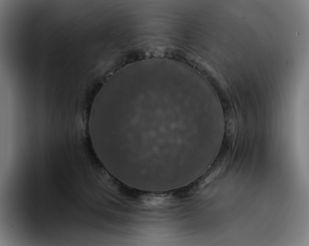 X0000094380661200711162132