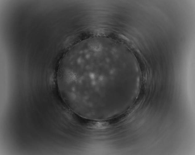 X0000094380663200711162132