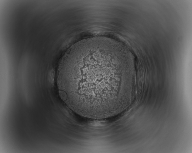 X0000094380664200711162132