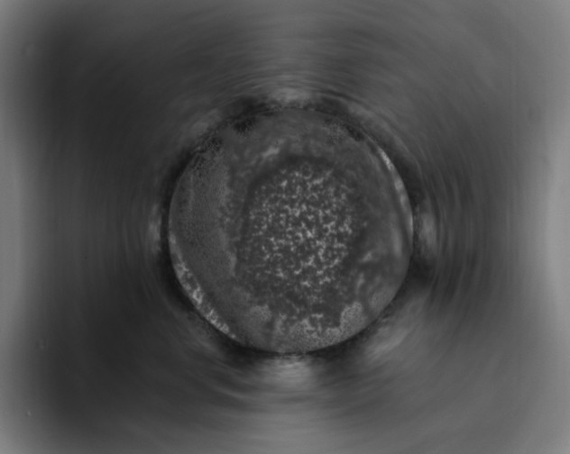 X0000094380668200711162132