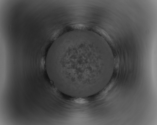 X0000094380669200711162132