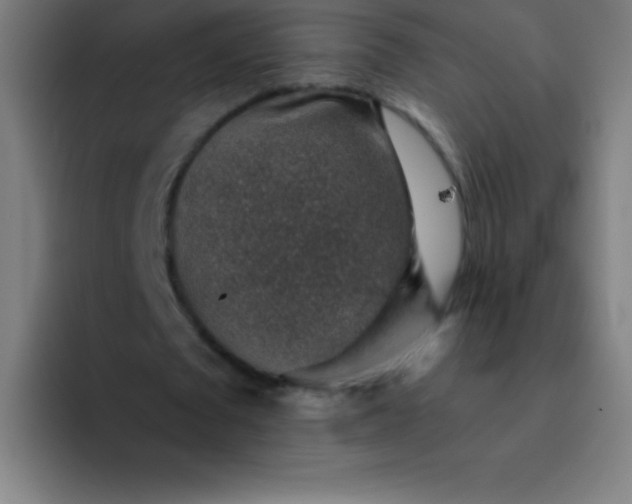 X0000094380673200711162131