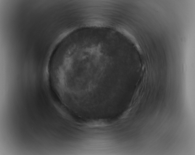 X0000094380674200711162131