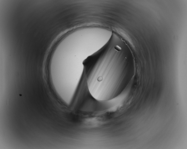X0000094380676200711162131