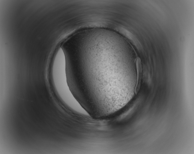 X0000094380677200711162131