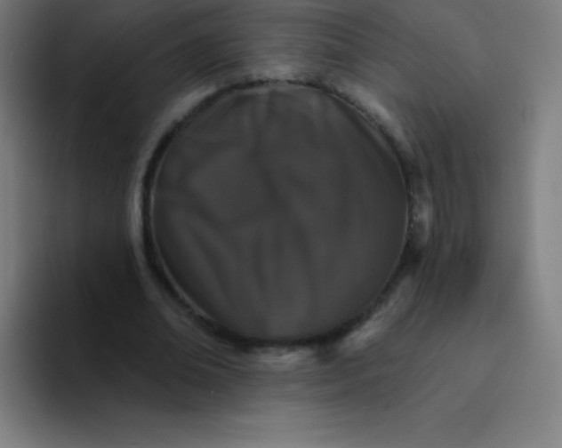 X0000094380678200711162131
