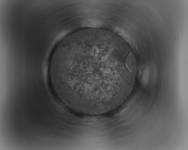 X0000094380679200711162131