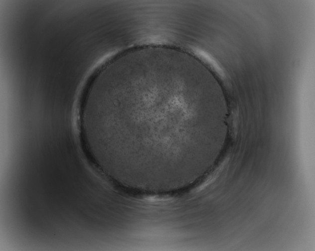 X0000094380680200711162131