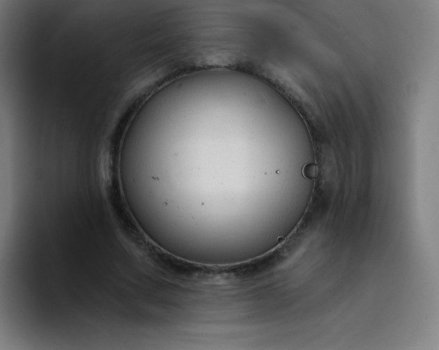 X0000094380683200711162131