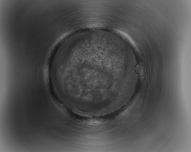 X0000094380684200711162131