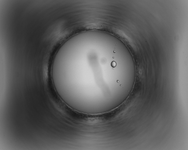 X0000094380686200711162131