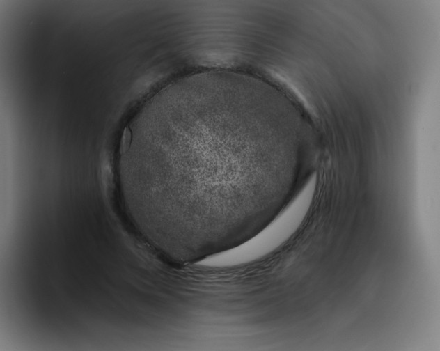 X0000094380688200711162131