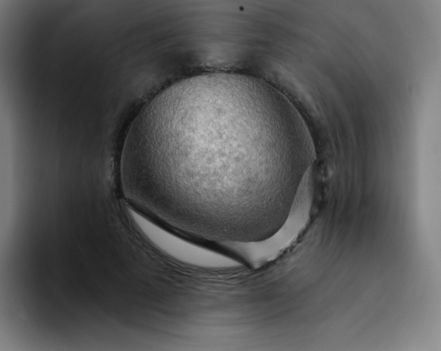 X0000094380689200711162131