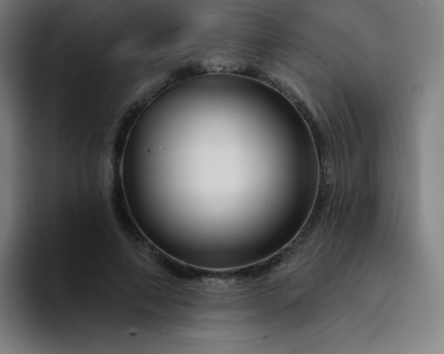 X0000094380690200711162131