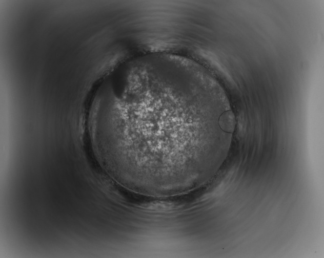 X0000094380691200711162131