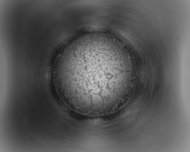 X0000094380695200711162131
