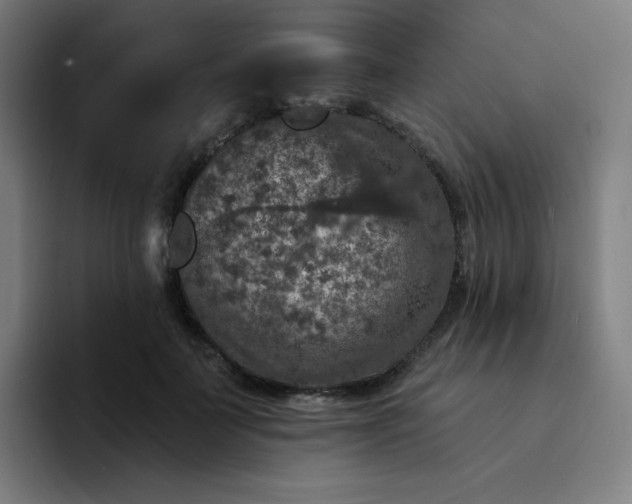 X0000094380699200711162131