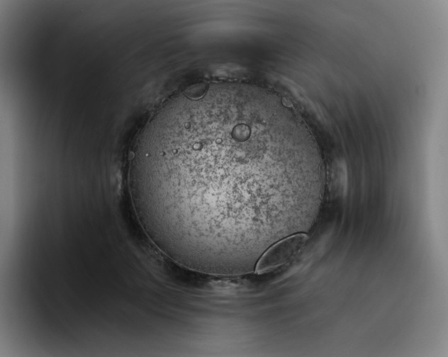 X0000094380703200711162131