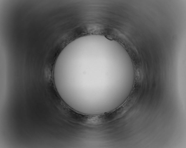 X0000094380705200711162131