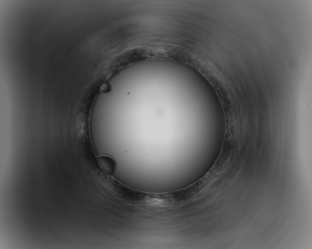 X0000094380706200711162131