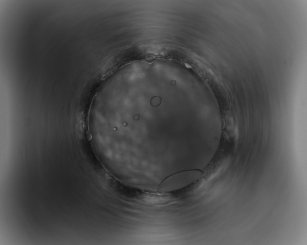 X0000094380707200711162131