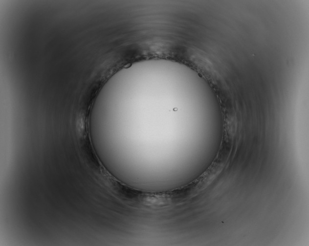 X0000094380709200711162131