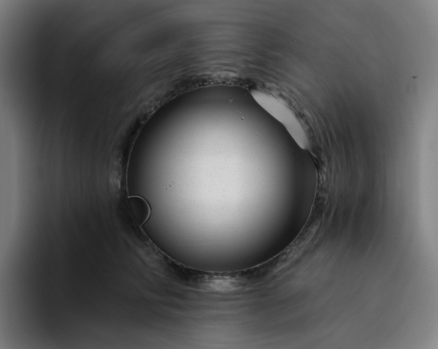 X0000094380710200711162131