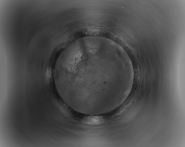 X0000094380711200711162131