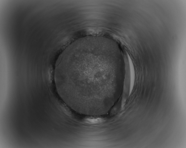 X0000094380712200711162131