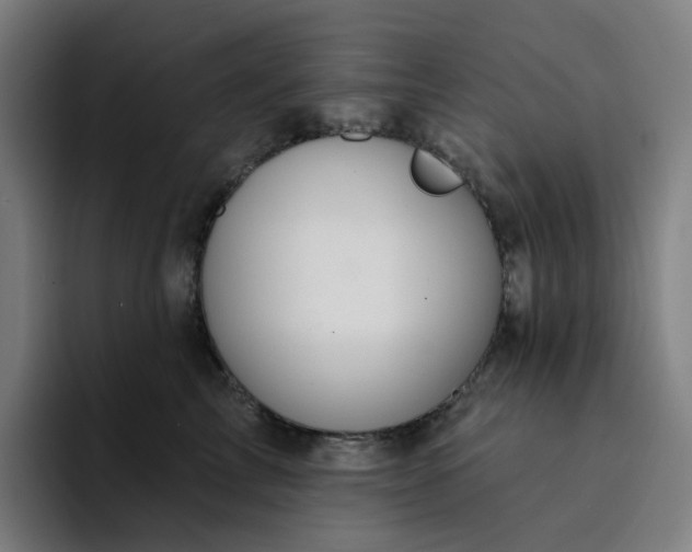 X0000094380713200711162131