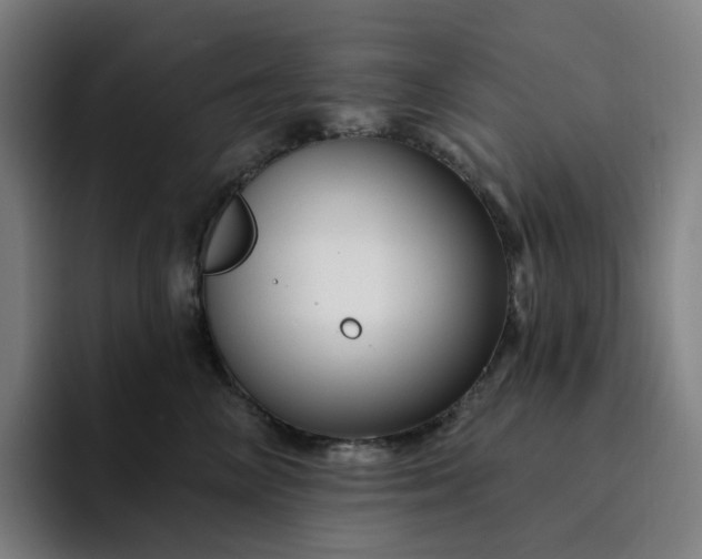 X0000094380714200711162131