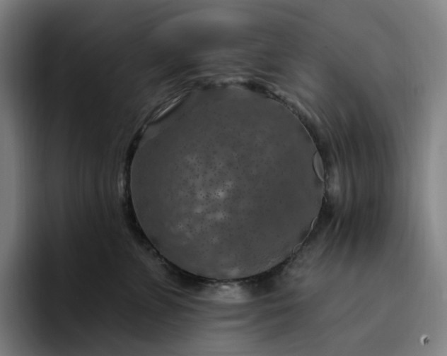 X0000094380715200711162131