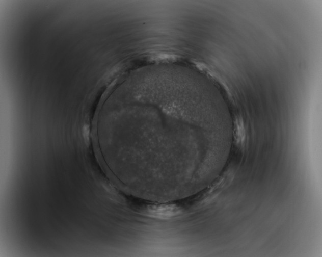 X0000094380716200711162131