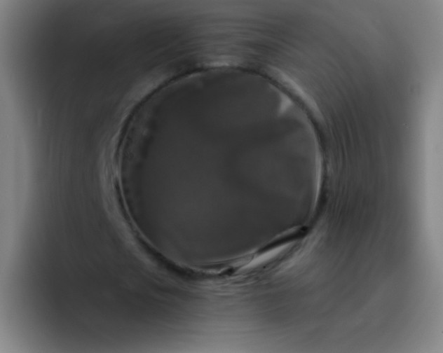X0000094380721200711162130