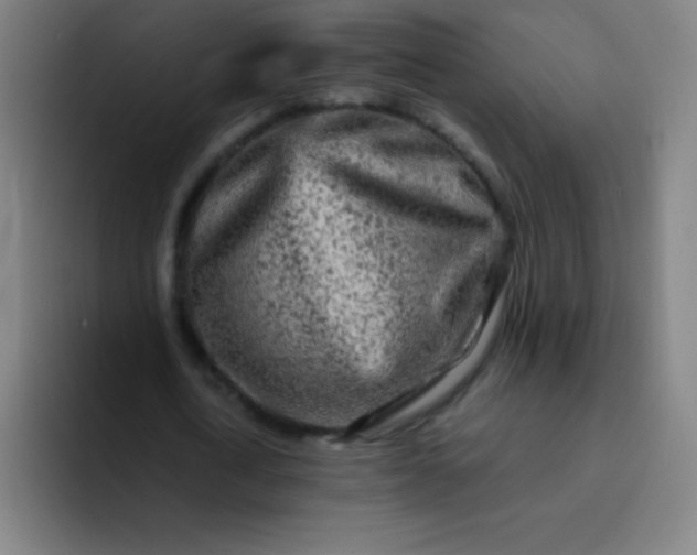 X0000094380722200711162130