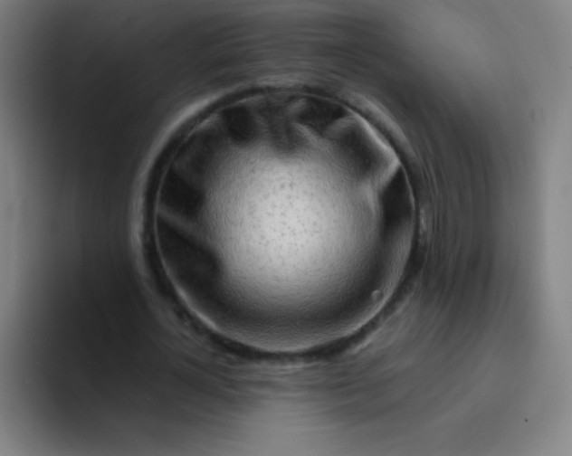 X0000094380724200711162130