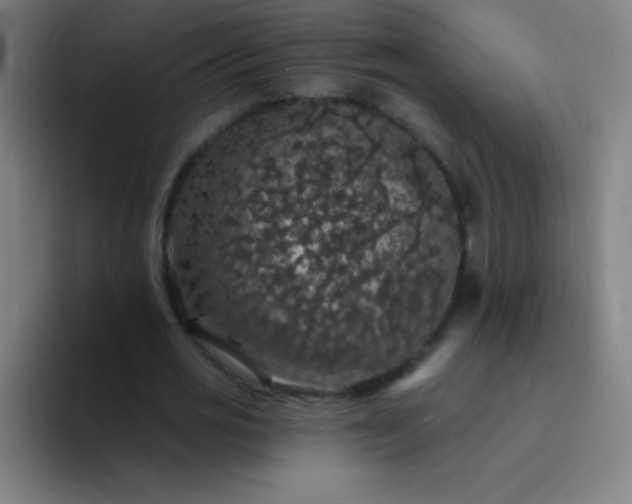 X0000094380725200711162130