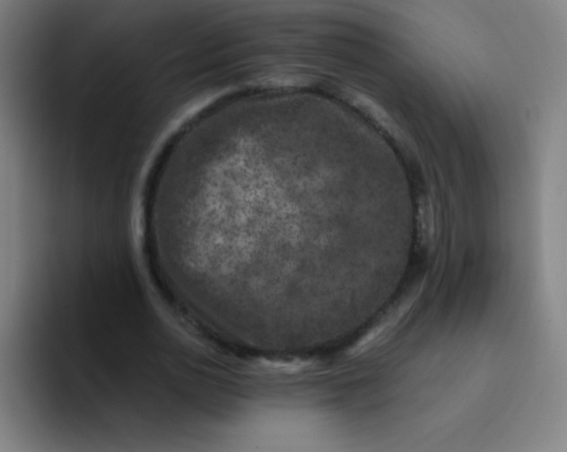 X0000094380726200711162130