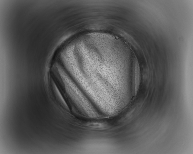 X0000094380727200711162130