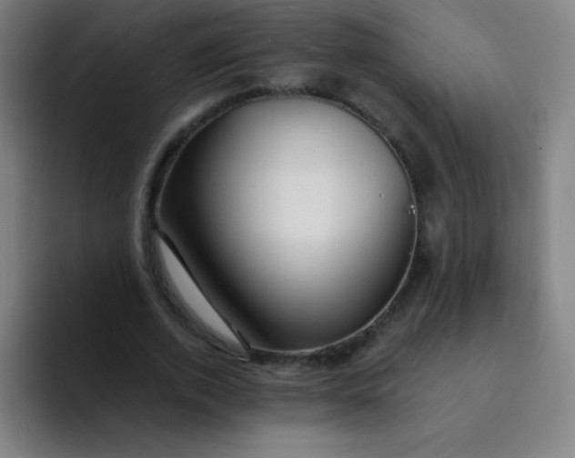X0000094380728200711162130